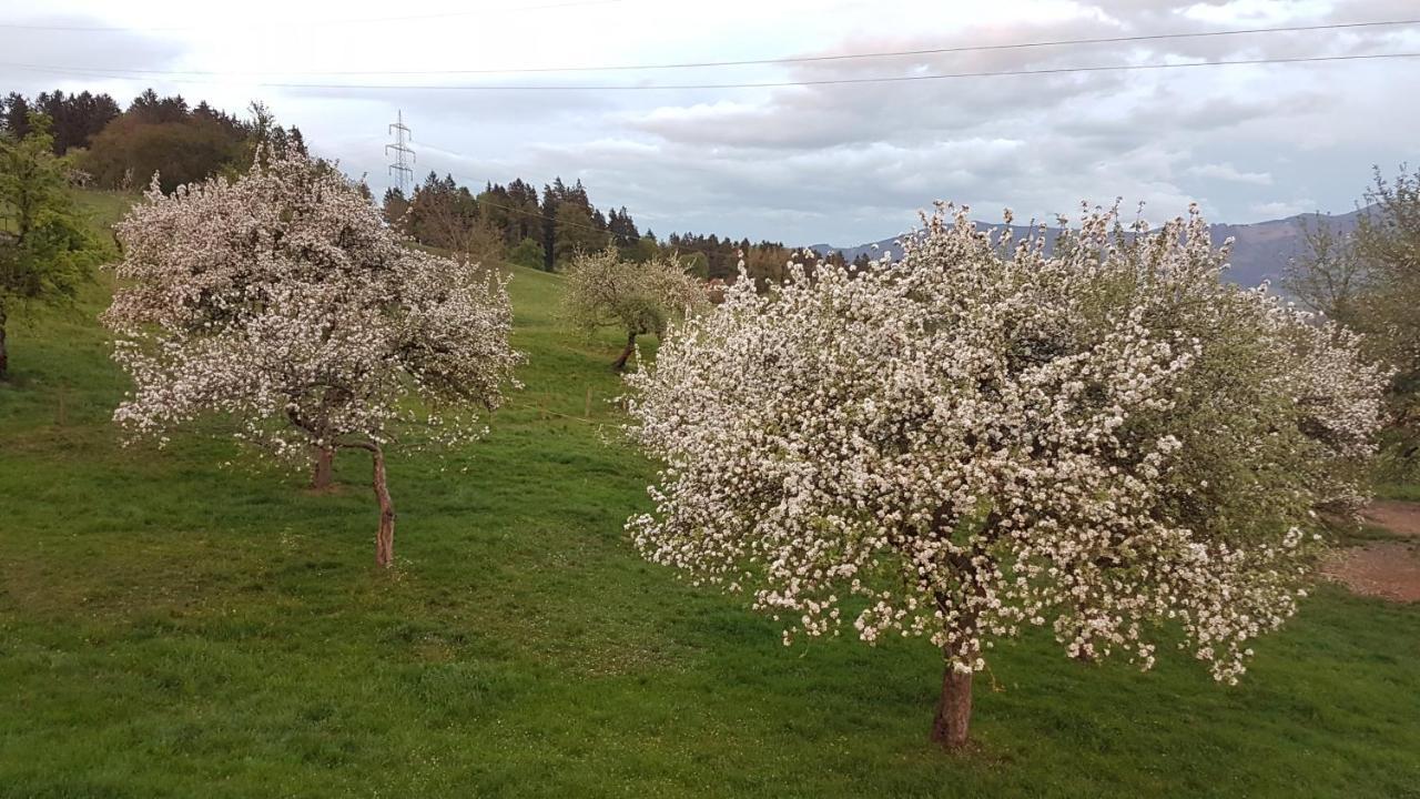 Ferienwohnungen Klimbacher Wolfsberg Exteriér fotografie