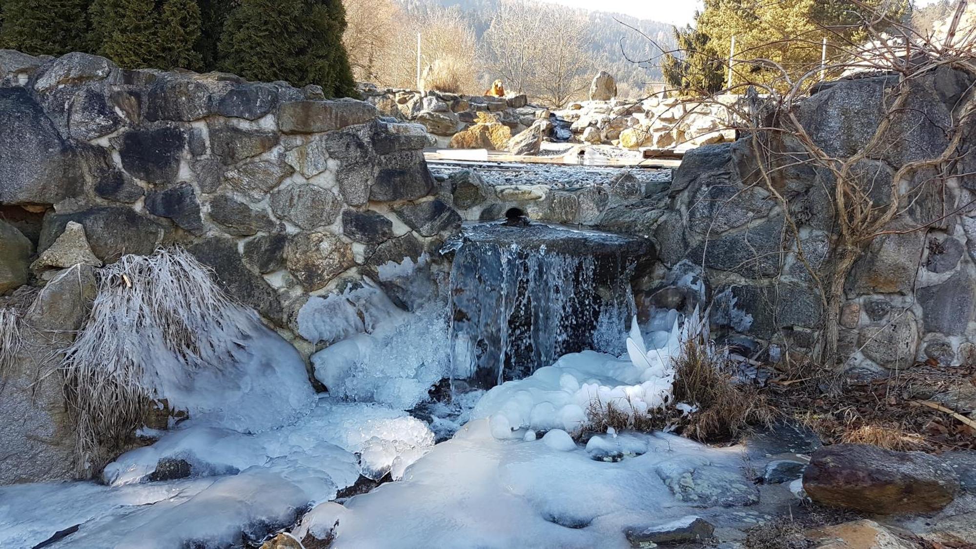 Ferienwohnungen Klimbacher Wolfsberg Exteriér fotografie
