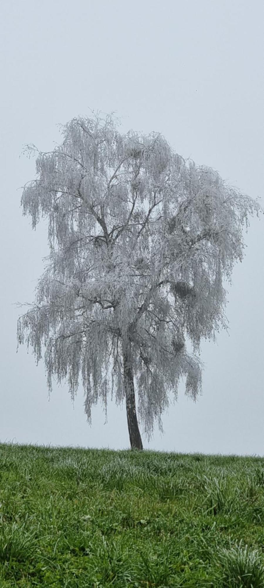 Ferienwohnungen Klimbacher Wolfsberg Exteriér fotografie