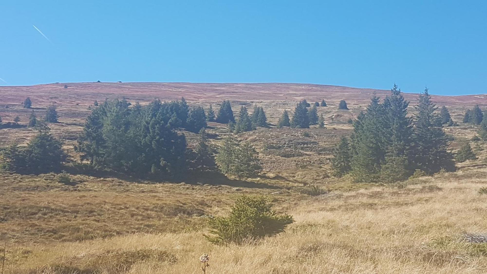 Ferienwohnungen Klimbacher Wolfsberg Pokoj fotografie