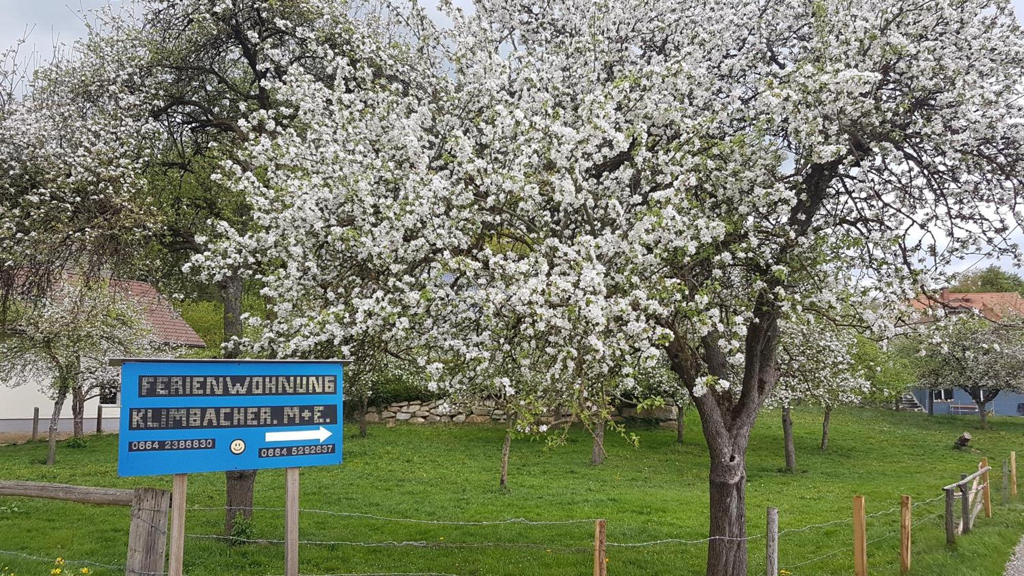 Ferienwohnungen Klimbacher Wolfsberg Pokoj fotografie